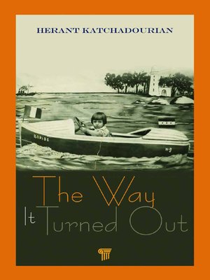 cover image of The Way It Turned Out